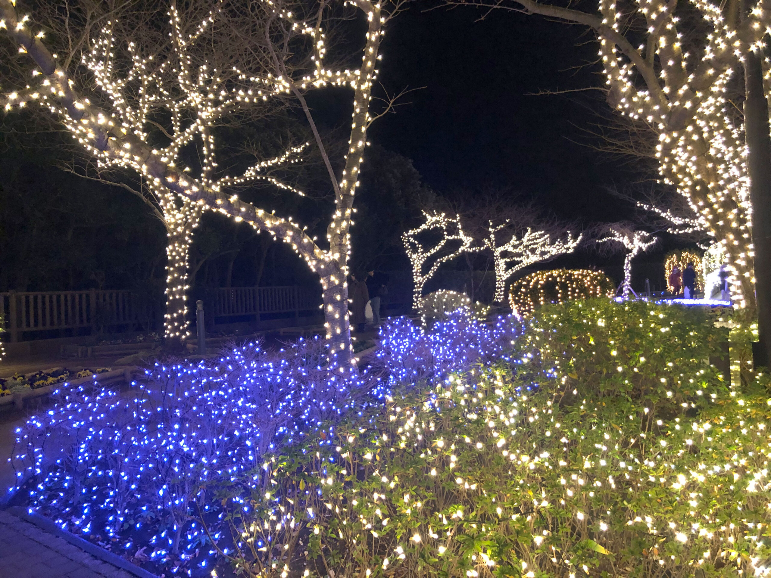 イルミネーションその1