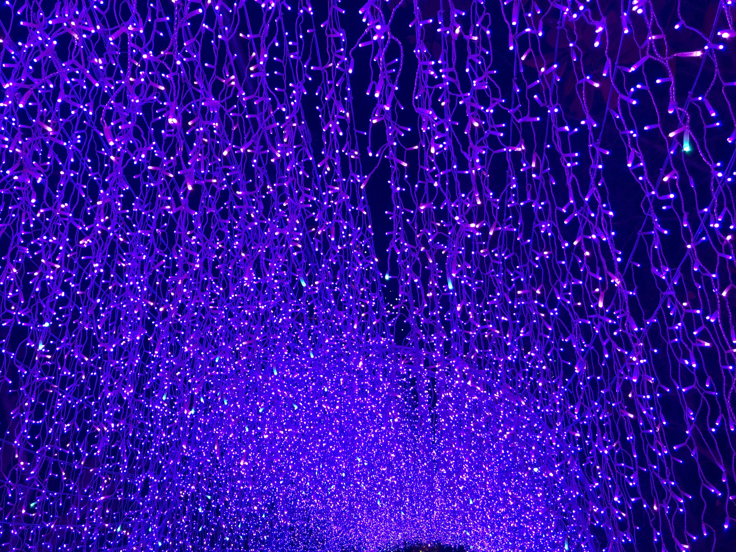 イルミネーションその10