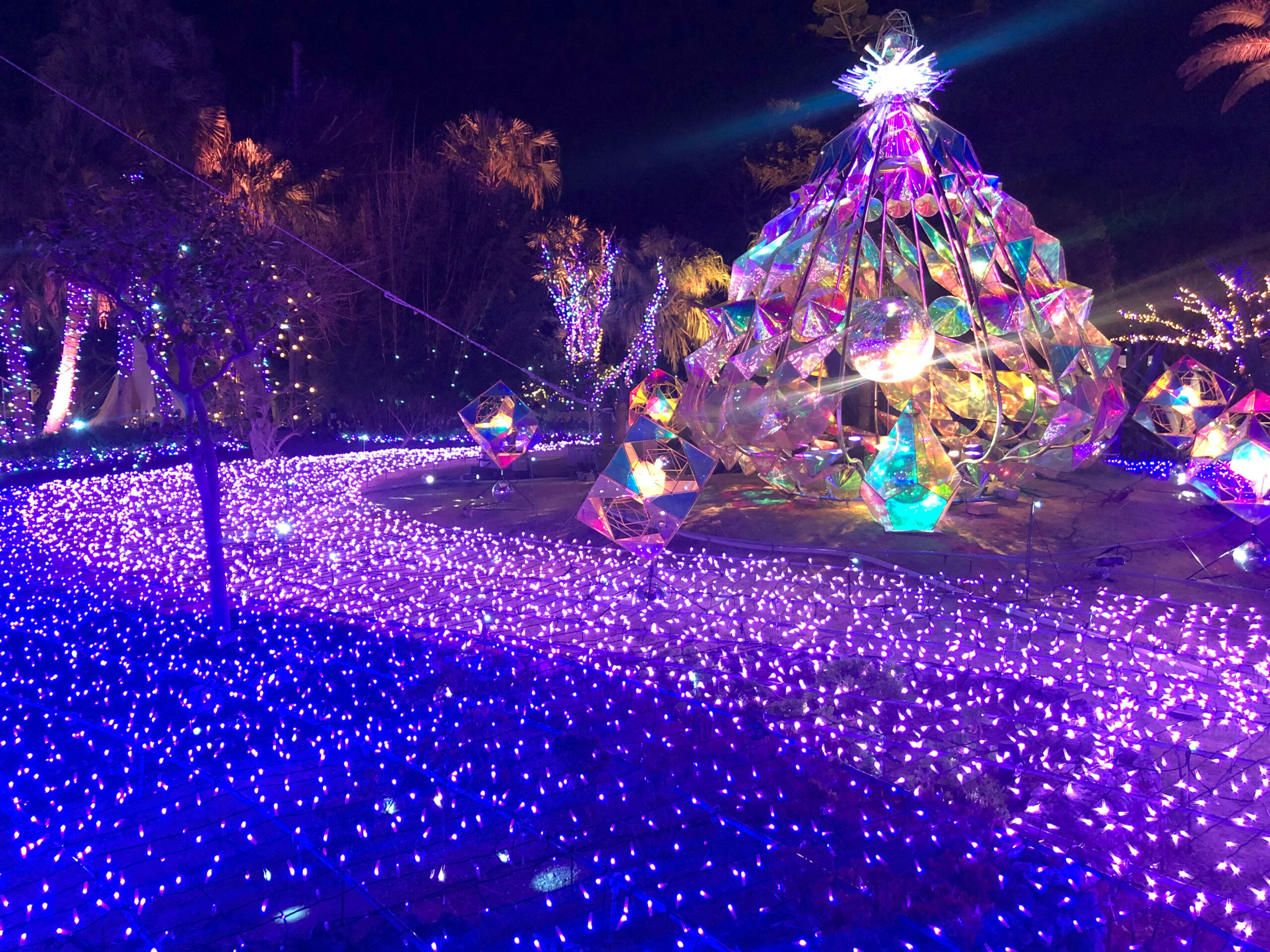 イルミネーションその12