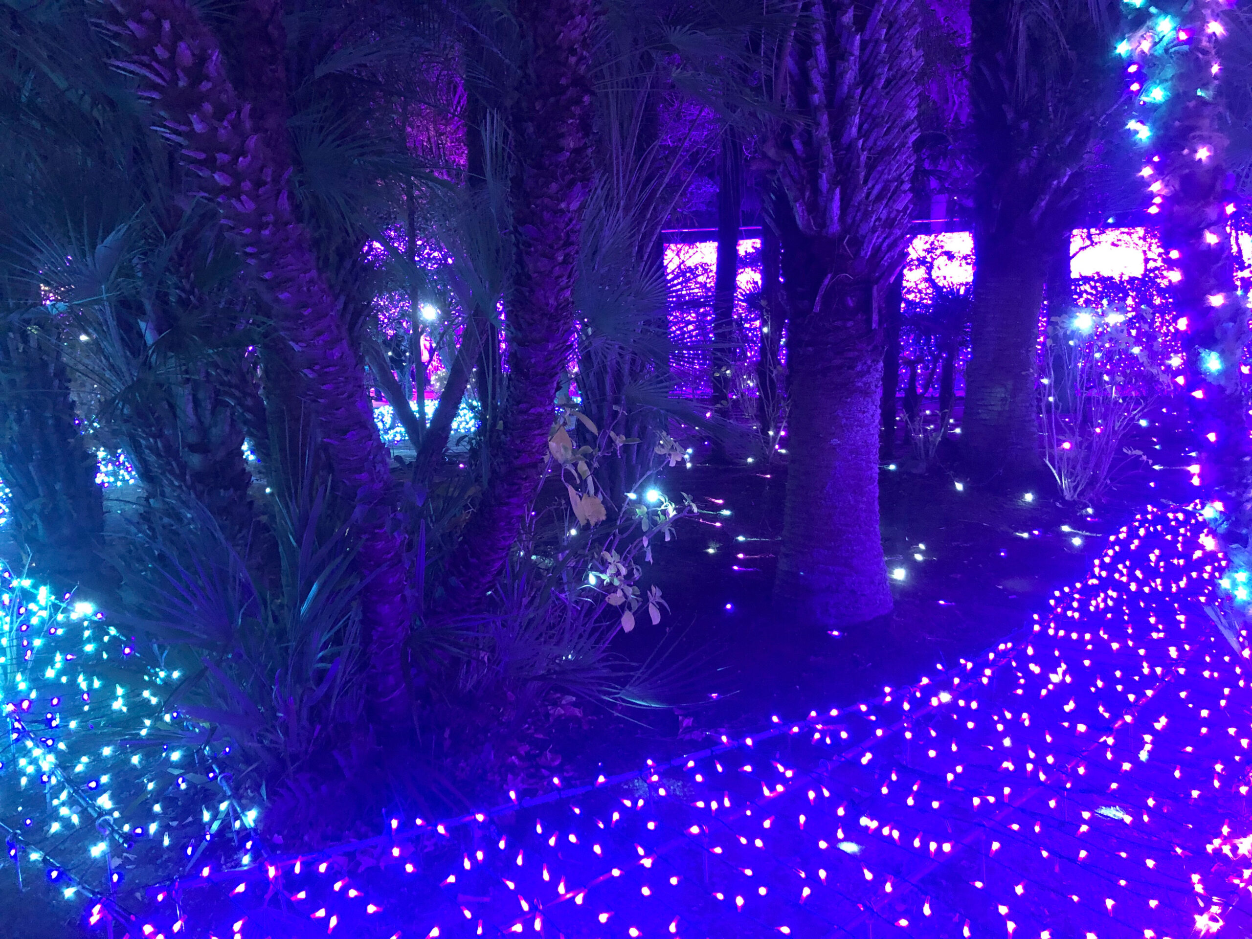 イルミネーションその15