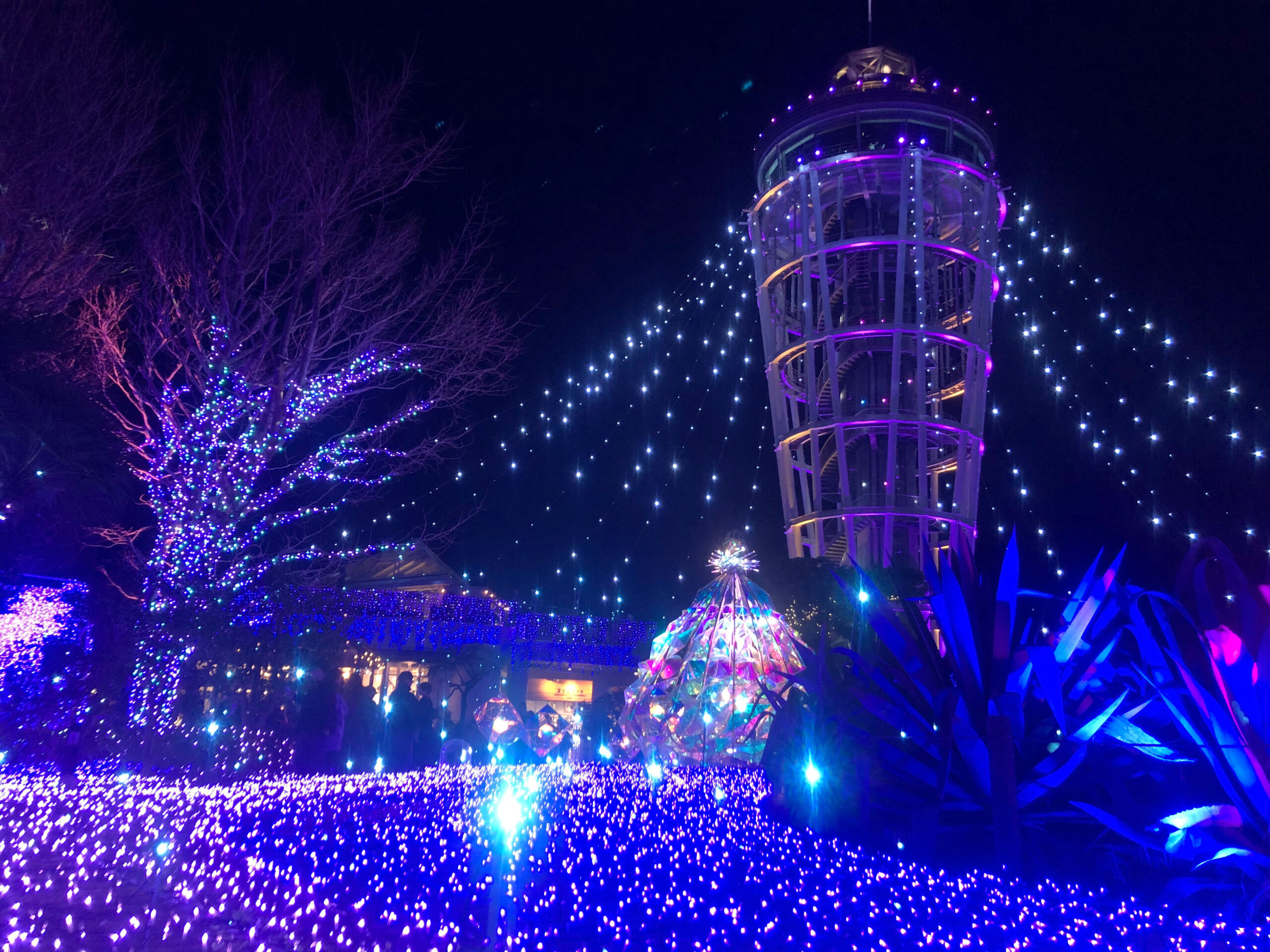 イルミネーションその16