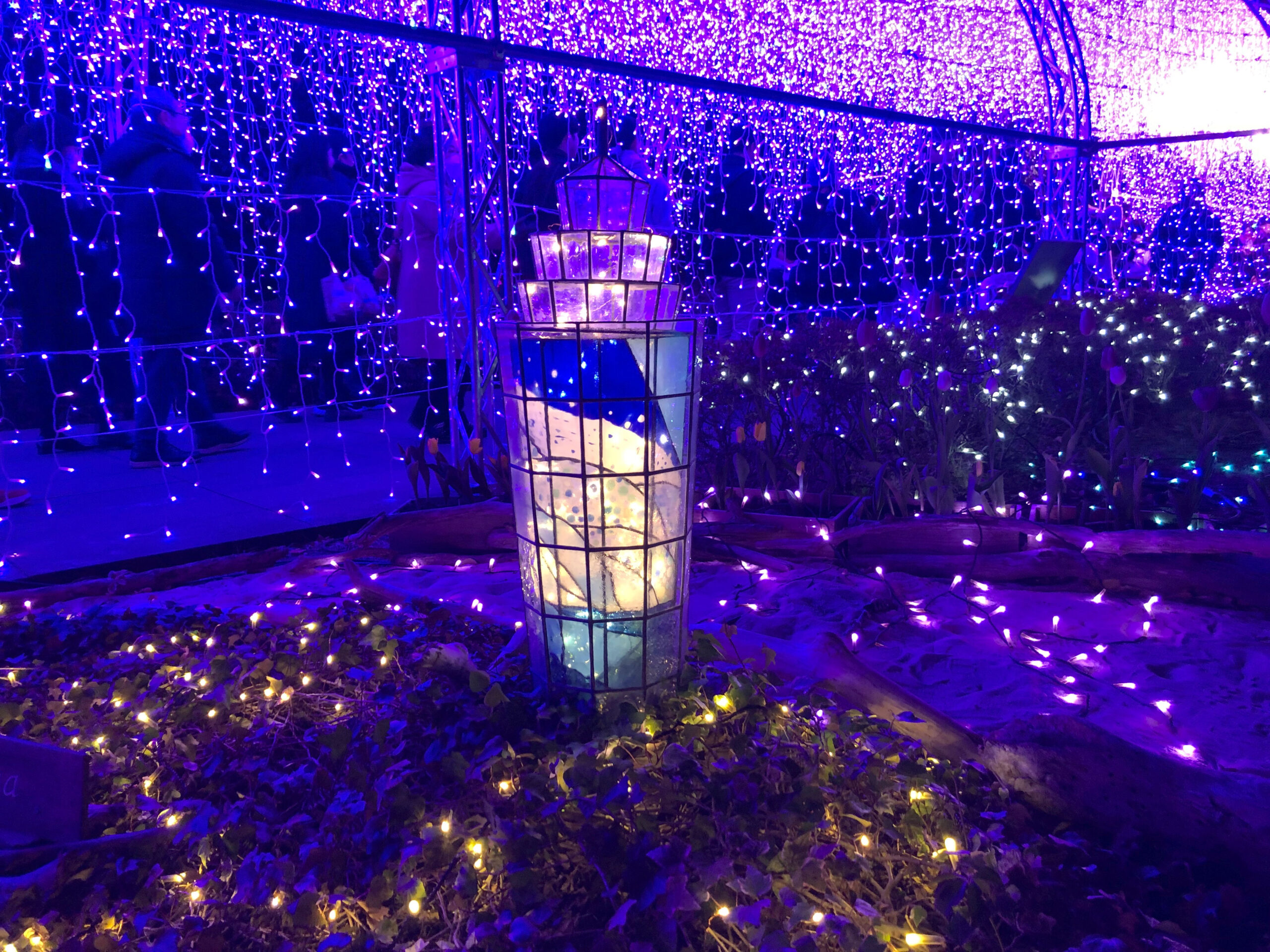 イルミネーションその18