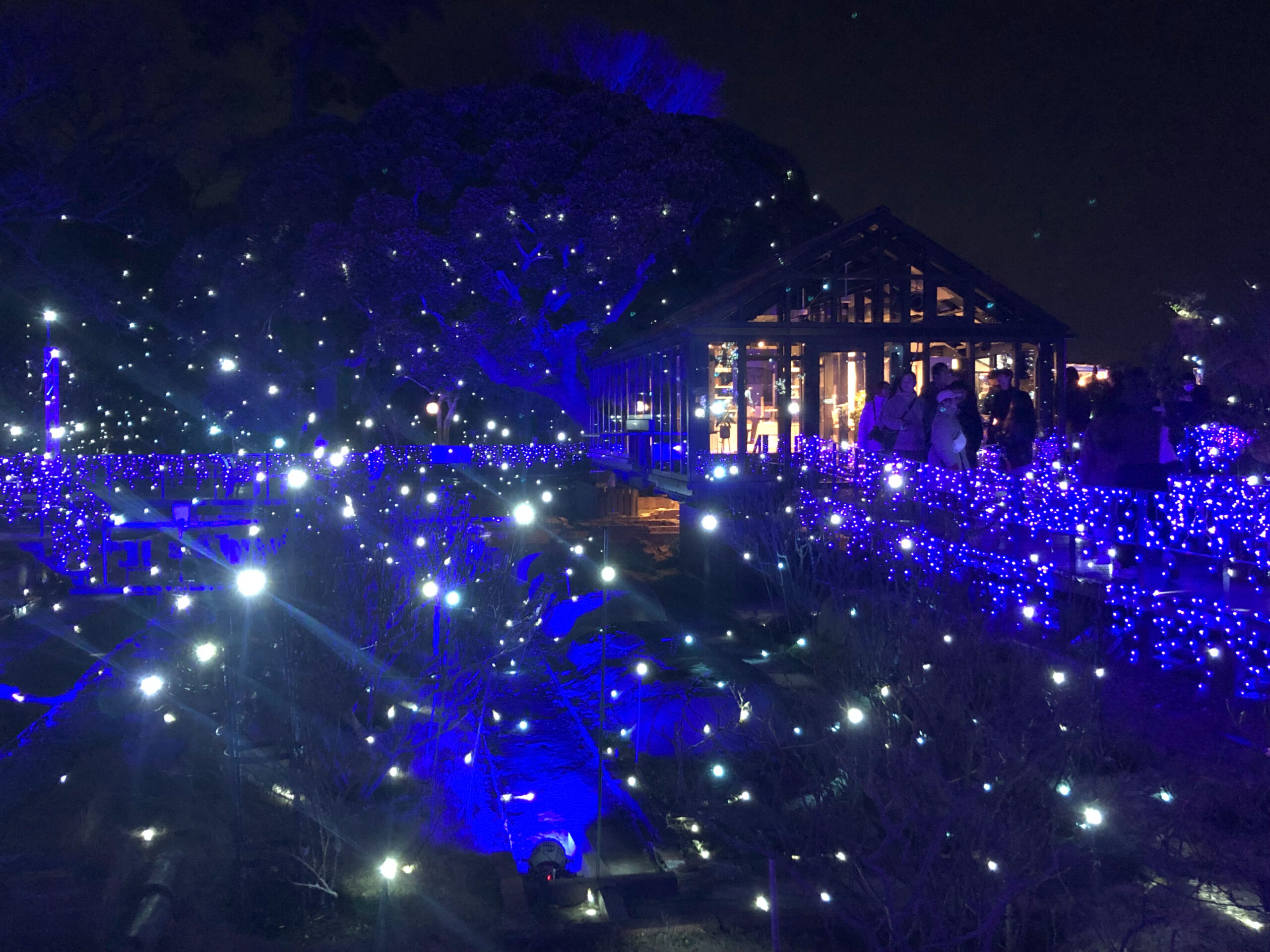 イルミネーションその19