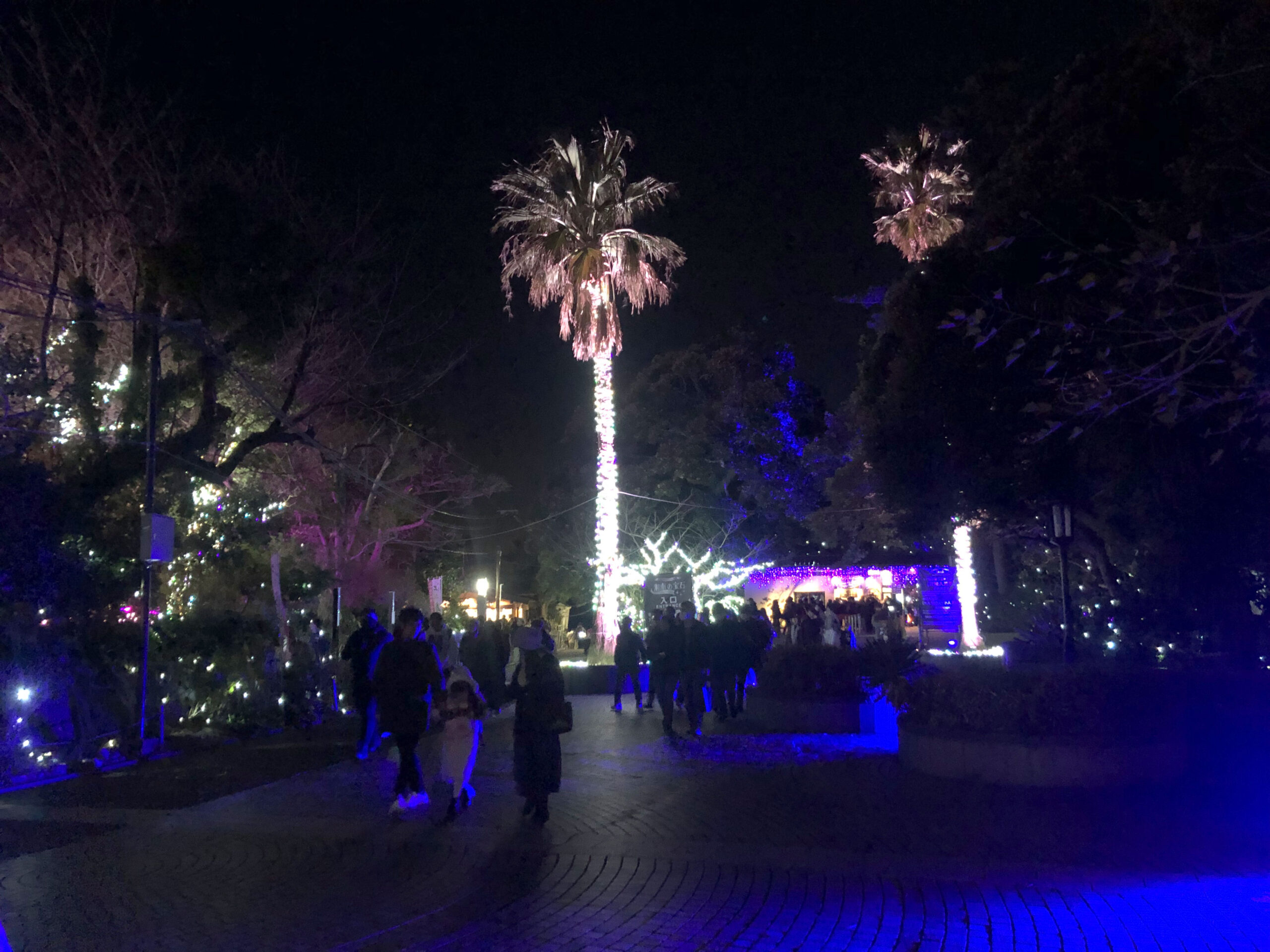 イルミネーションその2