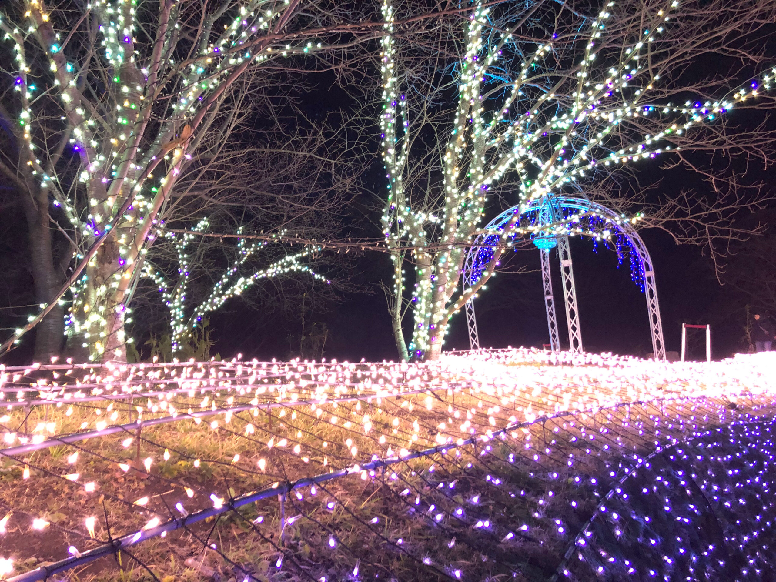 イルミネーションその20