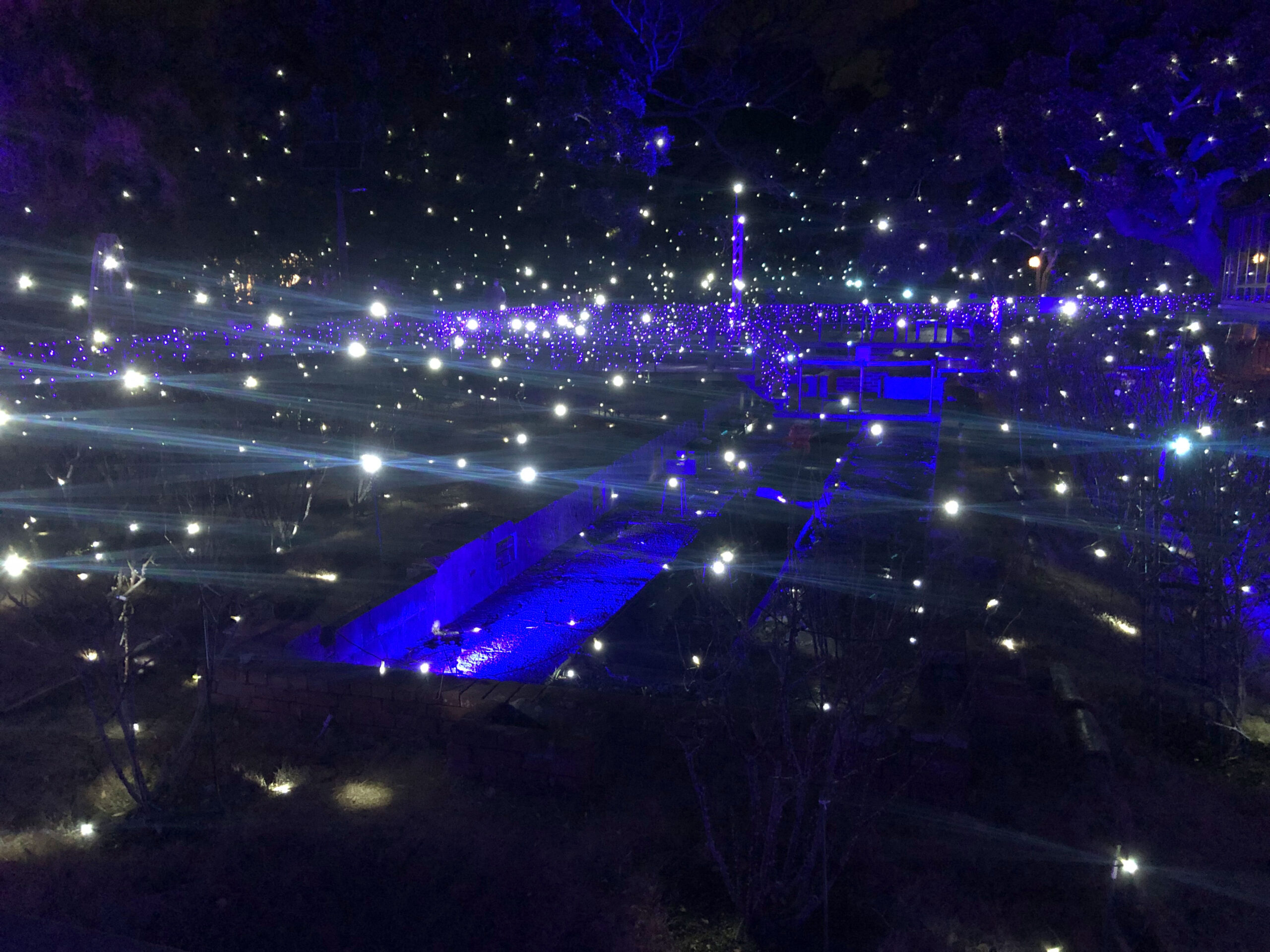 イルミネーションその5