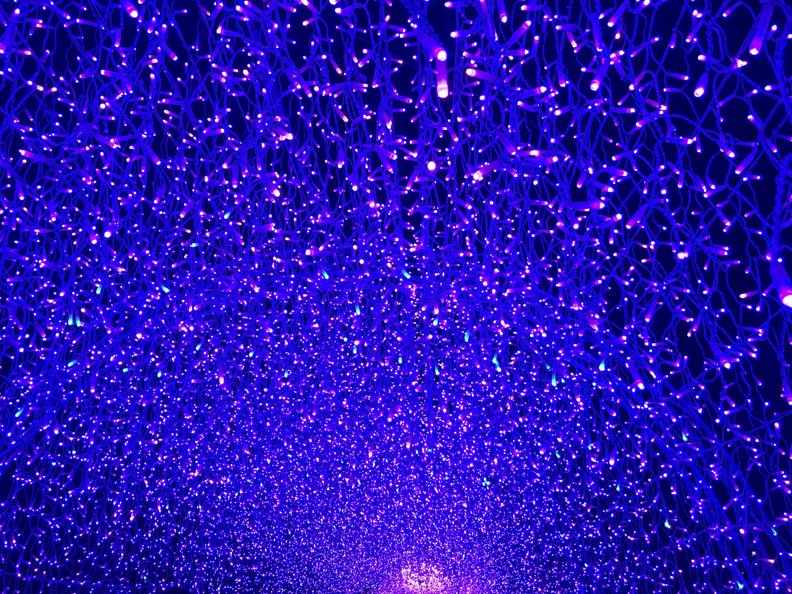 イルミネーションその6