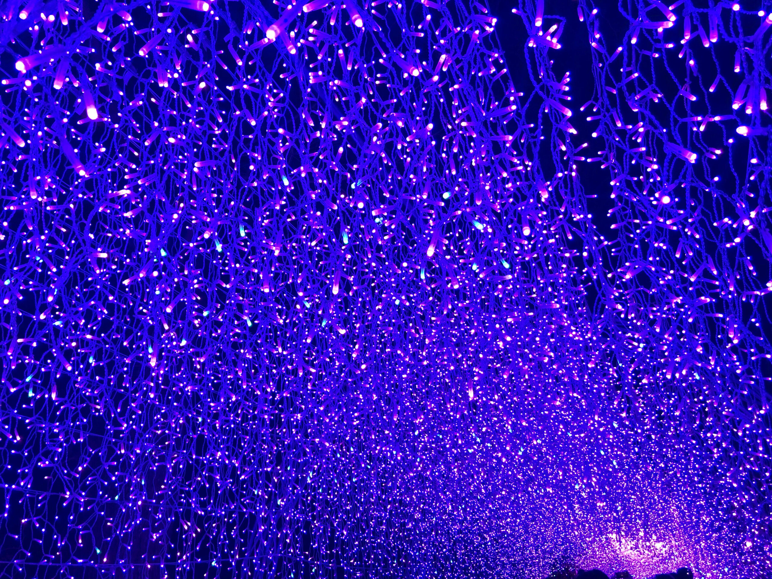 イルミネーションその7