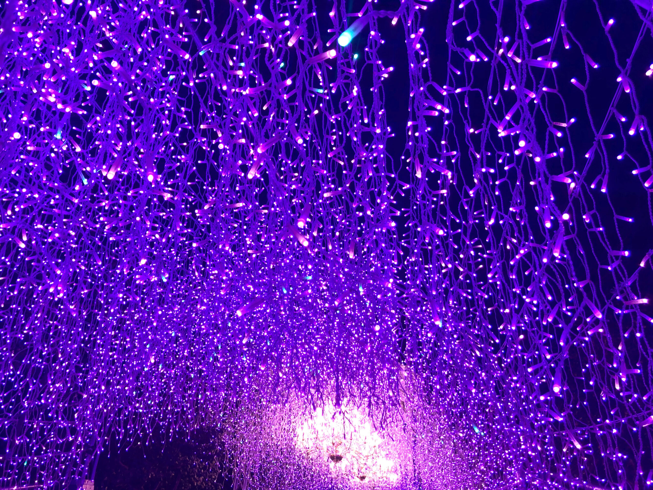 イルミネーションその8